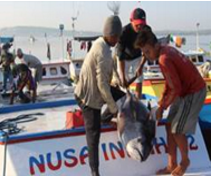 MSC hỗ trợ các nghề cá quy mô nhỏ