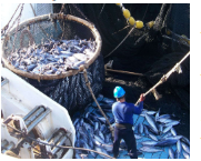 Sản lượng EPO quý 1 – 2018