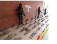 Cocaine được giấu trong container cá ngừ