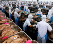 Liệu Thái Lan có thể phục hồi xuất khẩu