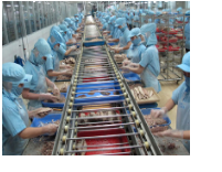 Việt Nam cho rằng xuất khẩu sụt giảm do thẻ vàng